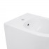 Біде підвісне Swan 520х360х320 мм, White QT16555378W Qtap
