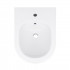 Біде підвісне Swan 520х360х320 мм, White QT16555378W Qtap