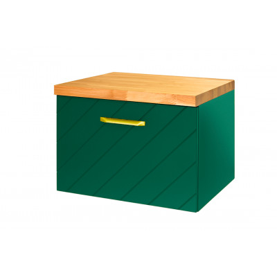 Тумба під умивал.без стільниці FLOO 60 P 60x50x40 +сифон, зол. ручка,візерунок справа,зелена Тумба під умивал.без стільниці FLOO 60 P 60x50x40 +сифон, зол. ручка,візерунок справа,зелена