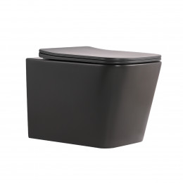 Унітаз підвісний Tern Ultra Quiet 520×345×325 мм, Anthracite, з сидінням Slim Duroplast / Soft-close / Quick Release QTTER26AN48999 Qtap