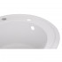 Мийка для кухні (WHI-01) D510/200 Lidz