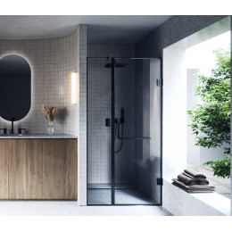 Душові двері WD 2 Полірована 700 мм.