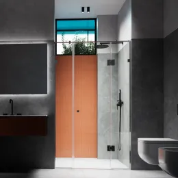 Душові двері WD 4 Полірована 700 мм.